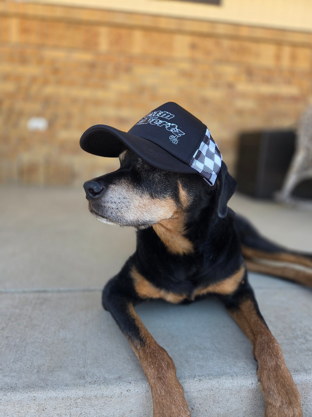 Team Vertz Trucker Hat